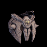 Baan Coil