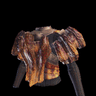 Barroth Mail