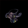 Diver's Mask α