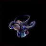 Diver's Mask