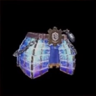 Ceinture Imperatrix γ