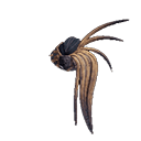 Jagras Helm α +