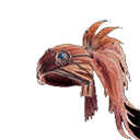Kulu Headpiece α +