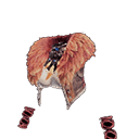Kulu Mail α +
