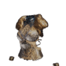 Kulve Taroth's Ire β