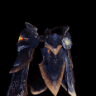 Tassette Lavasioth α +