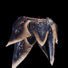 Spira di Lavasioth α