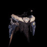 Legiana Coil