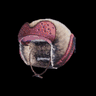Lumu Hat
