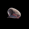 Lumu Hat