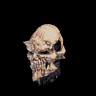 Visage de mort α