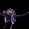 Tzitzi Headgear α +