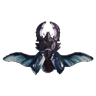 Alucanid I