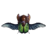 Keulendrohn I