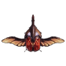 Elytron I
