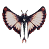 Gullshad