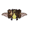 Prothoccinelle III
