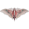 Pseudokath I