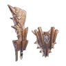 Gourdin Barroth III