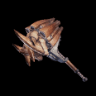 Barroth-Zerquetscher I