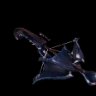 Schwarze Actinula