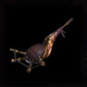 Buzzer Gold Flute