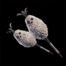 Downy Crake Love