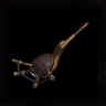 Gold Water Flute