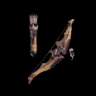 Hunters Bravebow I