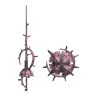 Rose de la reine