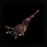 Rage Gold Flute