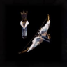 Spark Gold Piercer