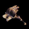 Striped Striker+