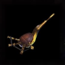 Taroth Pipe "Paralysis"